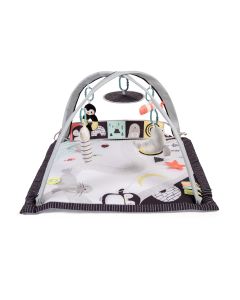 Red Kite Play Gym - Arctic Dreams